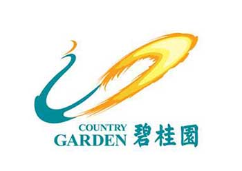 碧桂園控股有限公司